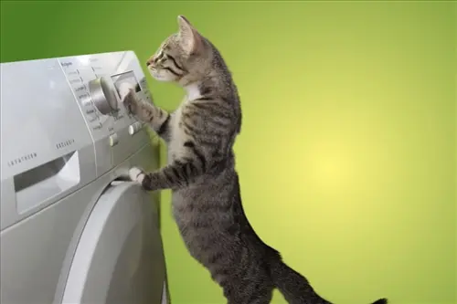 Dryer-Repair--in-Ellicott-City-Maryland-dryer-repair-ellicott-city-maryland.jpg-image